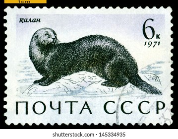 RUSSIA - CIRCA 1971: A Stamp Printed By Russia Shows Sea Otter,  Sea  Mammals,  Circa 1971