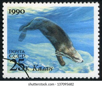 RUSSIA - CIRCA 1990: Stamp Printed By Russia, Shows Sea Otter Circa 1990