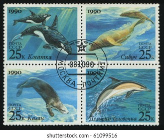 RUSSIA - CIRCA 1990: Stamp Printed By Russia, Shows Killer Whales, Northern Sea Lions, Sea Otter, Common Dolphin, Circa 1990.