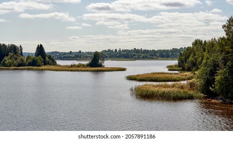 Russia. Islands On The Sheksna River