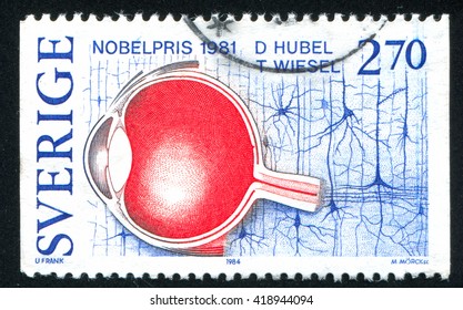 RUSSIA KALININGRAD, 20 OCTOBER 2013: Stamp Printed By Sweden, Shows David Hubel, Torsten Wiesel, Visual Information Processing Nobel Prize Winners In Physiology Or Medicine, Circa 1984