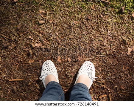 Russia, Kaliningrad region, the Curonian spit, bent trees in natural anomaly "Dancing forest", Mystical pine forest, foots on spruce carpet, Selfie of feet in leather flat shoes, top view