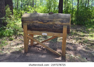 RUSSIA - KEMEROVO, August 6, 2022: Beehive Log-lounger. Subsistence Economy Of The Indigenous Peoples Of Siberia, Museum-reserve Tomsk Pisanitsa