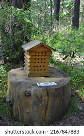 RUSSIA - KEMEROVO, June 11, 2022: A Hive To Attract Lonely Bees. Subsistence Economy Of The Indigenous Peoples Of Siberia, Museum-reserve Tomsk Pisanitsa