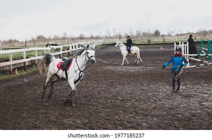 RUSSIA. KEMEROVO - MAY. 19 2018. horse training. Classes at the equestrian school "Rhythm". Dressage of the purebred Arabian horse Desperado