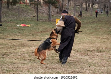 are service dogs trained in german