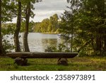 Russia. Leningrad region. Pike Lake Nature Reserve. September 2023. sunny day