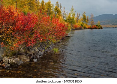 Russia. Magadan. The Amazing Beauty Of The Autumn Of The Far East. The Lake Maxi