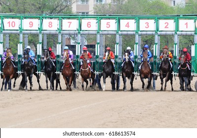 Horse Race Starting Gate High Res Stock Images Shutterstock