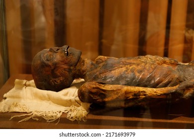 Russia Saint Petersburg 06.20.2022 Egyptian Human Mummy In The Museum. High Quality Photo