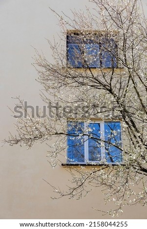 Similar – Image, Stock Photo UT I Only floating is more beautiful I Balcony