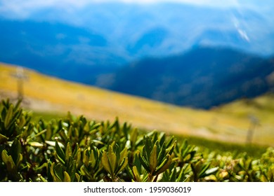 Russia Sochi Krasnaya Polyana Summer Day Beautiful Landscape