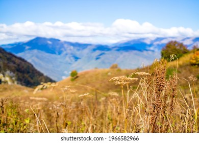 Russia Sochi Krasnaya Polyana Summer Day Beautiful Landscape