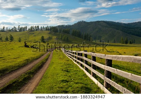 Russia. South Of Western Siberia, Mountain Altai. Green pastures in the mountain valleys fenced in by a wooden fence along the dirt roads.