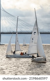 Russia, St. Petersburg, 29 July 2022: Few Small Sport Sailing Boats At Sunset With Stormy Sky, Sailing Regatta, Teamwork, Hot Pursuit, Highly Cable-stayed Bridge On Background