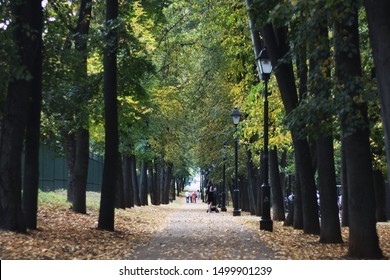 Russia/Moscow-September 2019: Alley In Babushkinsky Park Of Babushkinsky District Of Moscow