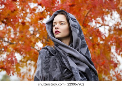 Russian Beauty Woman In The National Patterned Shawl