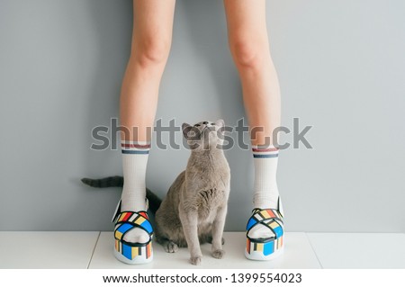 Russian blue cat looking up at beautiful female legs in colorful fashionable high wedge leather sandals on white table. Asian anime style concept. Women wearing high sole summer stylish shoes