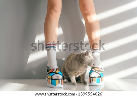 Russian blue cat lying between beautiful female legs in colorful fashionable high wedge leather sandals on white table. Asian anime style concept. Women wearing high sole summer stylish shoes.