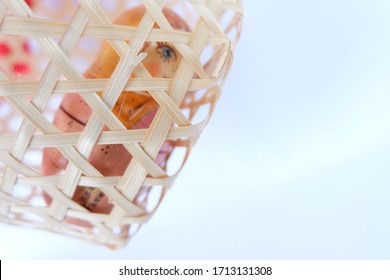 a Russian dolls showing a sad woman imprisoned in a light wooden cage on white background
