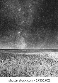 Russian field