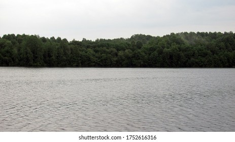 Russian Forest, River Sheksna, Volga