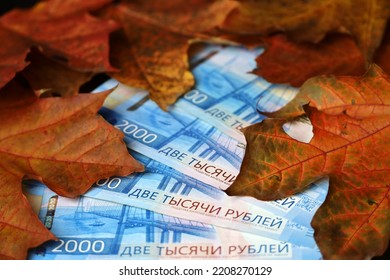 Russian rubles in banknotes covered with red and orange maple leaves. Economy of Russia at autumn, exchange rate - Shutterstock ID 2208270129