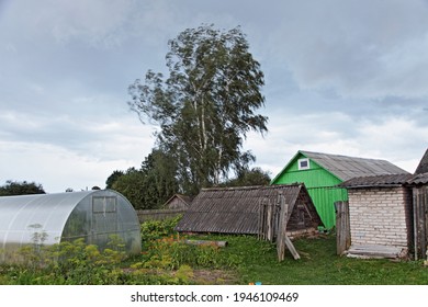 Russian Rural Backyard With Polycarbonate Greenhouse, Garden Beds With Vegetables, Old Barn, Birch Tree And Cloudy Sky At Summer Day With Heavy Wind, Countryside Landscape