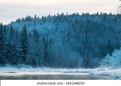 Russian Siberia in winter. Snow-covered taiga (boreal coniferous with domination by spruce and fir forests), scenic river and formation of ice blister (crystocrene) and frost-mist (rime)