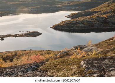 Russian Tundra In Autumn, Sunny Weather