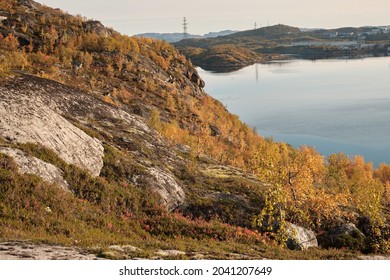 Russian Tundra In Autumn, Sunny Weather