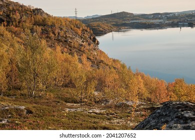 Russian Tundra In Autumn, Sunny Weather