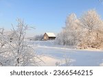 Russian village in winter, Christmas background. After a snowfall, tree branches are covered with snow and sparkle in the sun, in severe frost and low temperatures. This is a beautiful winter banner, 