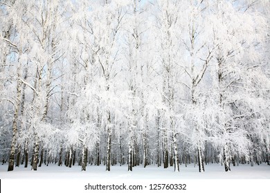 Russian Winter Stock Photo 125760332 | Shutterstock