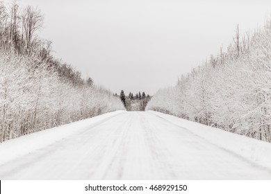 Russian Winter Road