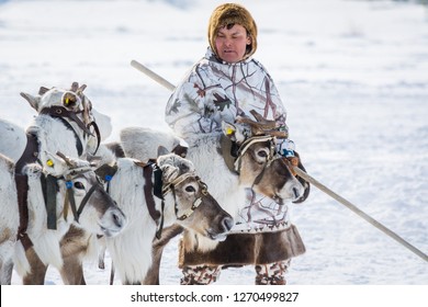 Russkinskaya, Russia - 24 March 2018: A Khanty man in beautiful national clothes with a wooden stick looks at the reindeer in a leather harness in the winter. Competitions for riding a deer. 