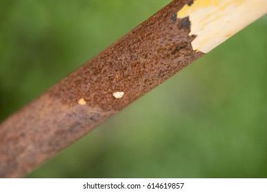 rust