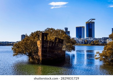 Rust grounded shipwreck in a mangrove area on Wentworth point Parramatta River NSW Australia