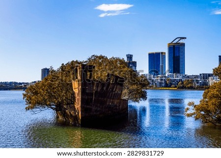 Rust grounded shipwreck in a mangrove area on Wentworth point Parramatta River NSW Australia