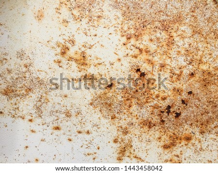 rust metel plate on white texture background