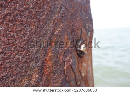 Rust on the steel surface