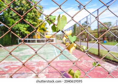 Rust Steel  Mesh At The Tennis Court For Background. Rust Steel Mesh. No People At The Tennis Court No Maintenance Or Repairs.
Safety Concept