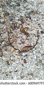 Rust wire and Small mountain rock