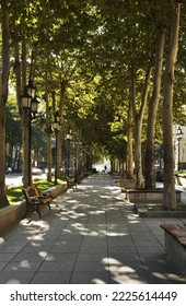 Rustaveli Avenue In Tbilisi. Georgia