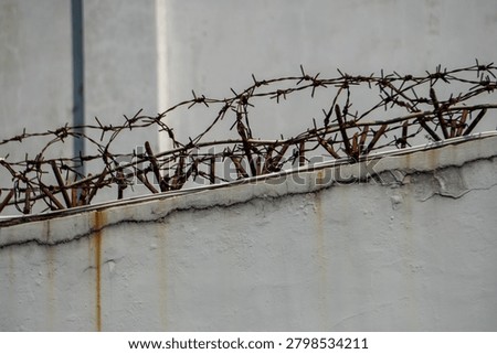 Rusted barbed wire installed on a concrete wall, commonly used for perimeter security. The wire shows significant oxidation, indicating that it has been exposed to the elements for a long time.