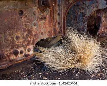 Rusted Chassis With A Dried Clump Of Grass