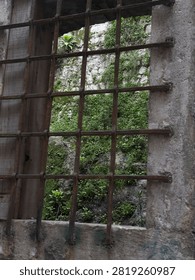 Rusted iron window bars overlooking an overgrown stone wall, symbolizing history, abandonment, resilience and the passage of time