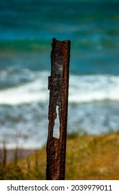 Rusted Metal Fence Post With A Coastal Background