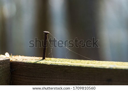 Similar – Image, Stock Photo The lonely screw