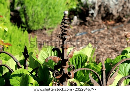 Rusted narrow old baroque style decorative wrought iron fence top surrounded with large flower leaves and other vegetation at local cemetery on warm sunny spring day